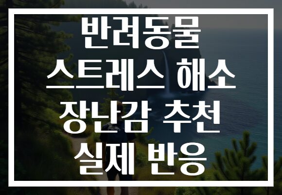 반려동물 스트레스 해소 장난감 추천 실제 반응 반려동물 스트레스 해소 장난감 추천 실제 반응