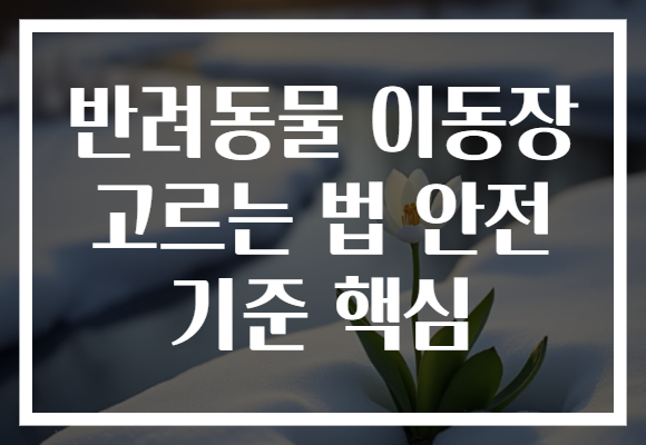 반려동물 이동장 고르는 법 안전 기준 핵심 반려동물 이동장 고르는 법 안전 기준 핵심