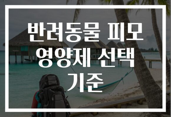 반려동물 피모 영양제 선택 기준
