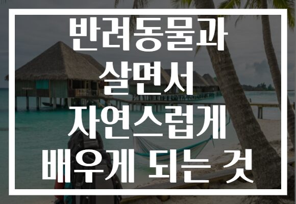 반려동물과 살면서 자연스럽게 배우게 되는 것