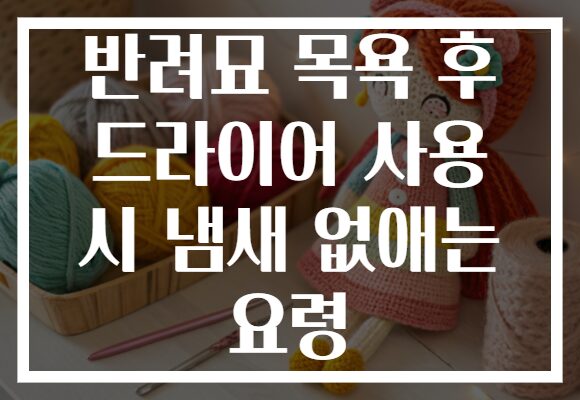 반려묘 목욕 후 드라이어 사용 시 냄새 없애는 요령 반려묘 목욕 후 드라이어 사용 시 냄새 없애는 요령