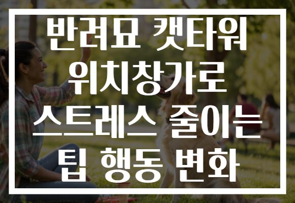 반려묘 캣타워 위치창가로 스트레스 줄이는 팁 행동 변화 반려묘 캣타워 위치창가로 스트레스 줄이는 팁 행동 변화