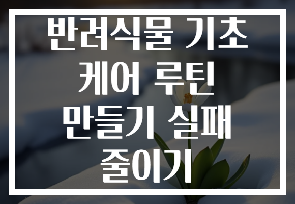 반려식물 기초 케어 루틴 만들기 실패 줄이기 반려식물 기초 케어 루틴 만들기 실패 줄이기