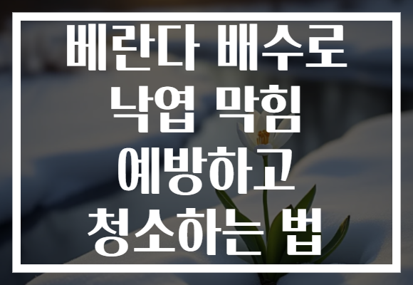 베란다 배수로 낙엽 막힘 예방하고 청소하는 법