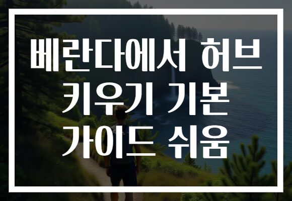 베란다에서 허브 키우기 기본 가이드 쉬움 베란다에서 허브 키우기 기본 가이드 쉬움