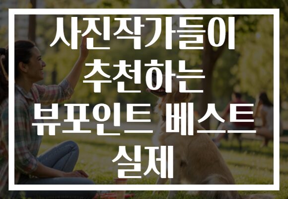 사진작가들이 추천하는 뷰포인트 베스트 실제 사진작가들이 추천하는 뷰포인트 베스트 실제