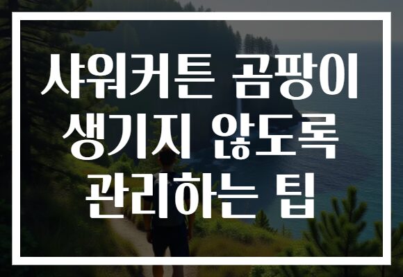 샤워커튼 곰팡이 생기지 않도록 관리하는 팁