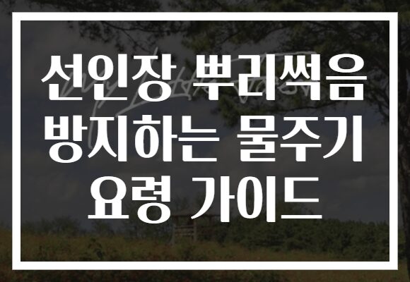 선인장 뿌리썩음 방지하는 물주기 요령 가이드