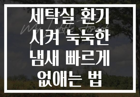 세탁실 환기 시켜 눅눅한 냄새 빠르게 없애는 법 세탁실 환기 시켜 눅눅한 냄새 빠르게 없애는 법