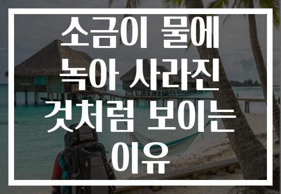 소금이 물에 녹아 사라진 것처럼 보이는 이유