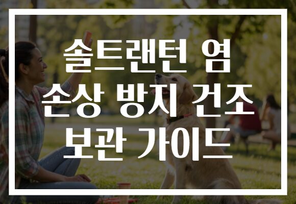솔트랜턴 염 손상 방지 건조 보관 가이드 솔트랜턴 염 손상 방지 건조 보관 가이드