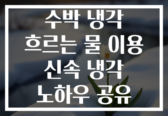 수박 냉각 흐르는 물 이용 신속 냉각 노하우 공유