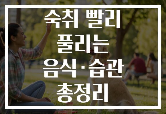 숙취 빨리 풀리는 음식·습관 총정리