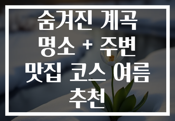 숨겨진 계곡 명소 + 주변 맛집 코스 여름 추천
