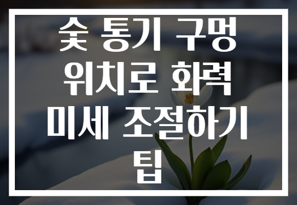 숯 통기 구멍 위치로 화력 미세 조절하기 팁 숯 통기 구멍 위치로 화력 미세 조절하기 팁