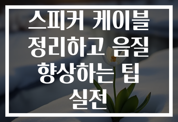 스피커 케이블 정리하고 음질 향상하는 팁 실전