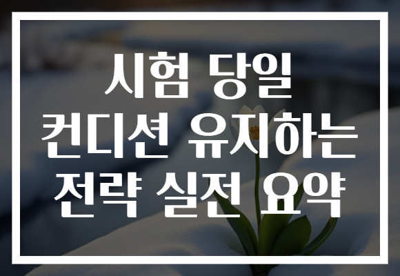 시험 당일 컨디션 유지하는 전략 실전 요약