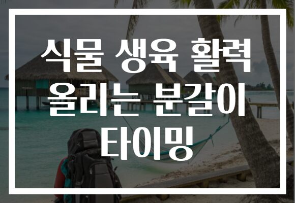 식물 생육 활력 올리는 분갈이 타이밍