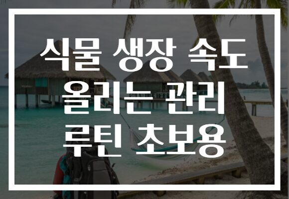 식물 생장 속도 올리는 관리 루틴 초보용