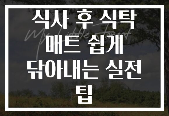 식사 후 식탁 매트 쉽게 닦아내는 실전 팁