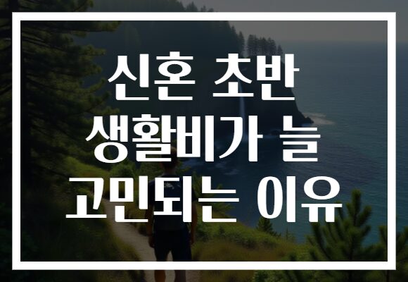 신혼 초반 생활비가 늘 고민되는 이유 신혼 초반 생활비가 늘 고민되는 이유