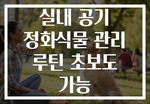 실내 공기 정화식물 관리 루틴 초보도 가능 실내 공기 정화식물 관리 루틴 초보도 가능