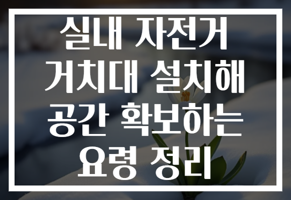 실내 자전거 거치대 설치해 공간 확보하는 요령 정리