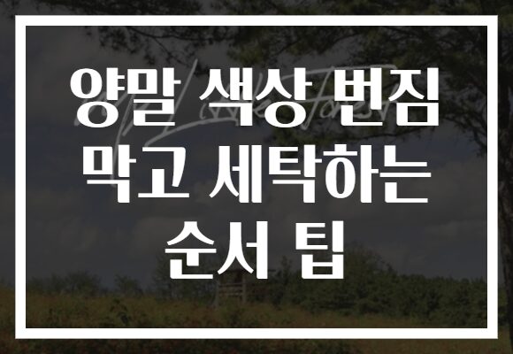 양말 색상 번짐 막고 세탁하는 순서 팁 양말 색상 번짐 막고 세탁하는 순서 팁