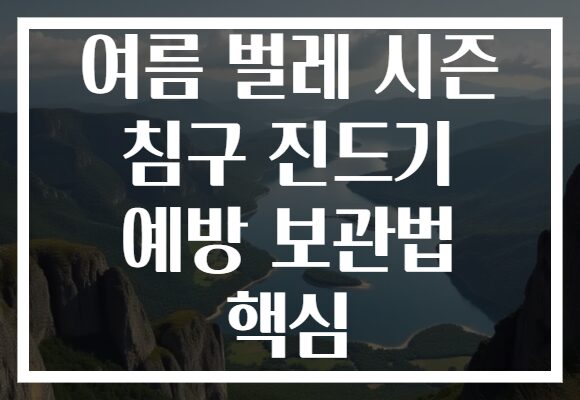 여름 벌레 시즌 침구 진드기 예방 보관법 핵심