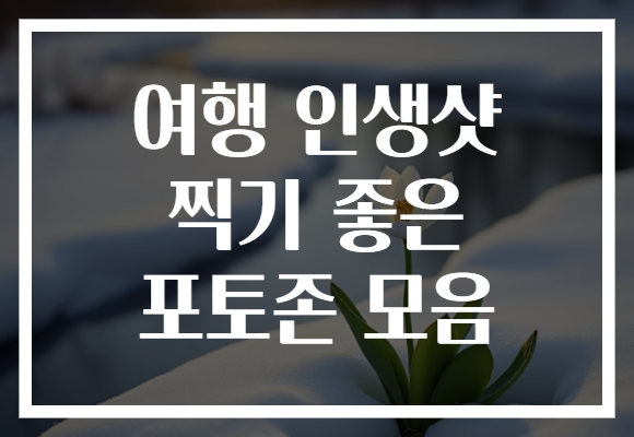 여행 인생샷 찍기 좋은 포토존 모음