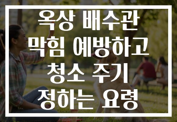 옥상 배수관 막힘 예방하고 청소 주기 정하는 요령