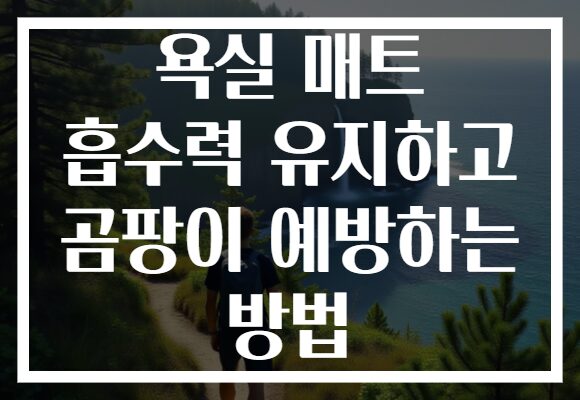 욕실 매트 흡수력 유지하고 곰팡이 예방하는 방법 욕실 매트 흡수력 유지하고 곰팡이 예방하는 방법