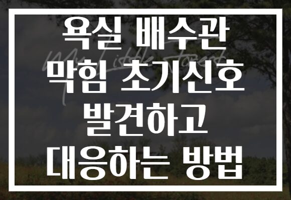 욕실 배수관 막힘 초기신호 발견하고 대응하는 방법