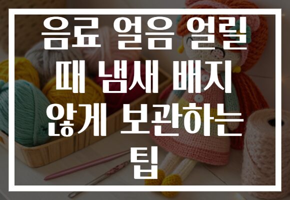 음료 얼음 얼릴 때 냄새 배지 않게 보관하는 팁