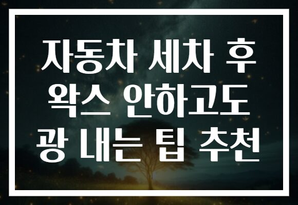 자동차 세차 후 왁스 안하고도 광 내는 팁 추천