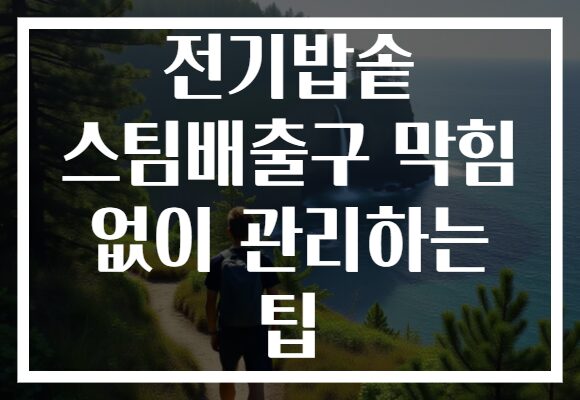 전기밥솥 스팀배출구 막힘 없이 관리하는 팁 전기밥솥 스팀배출구 막힘 없이 관리하는 팁