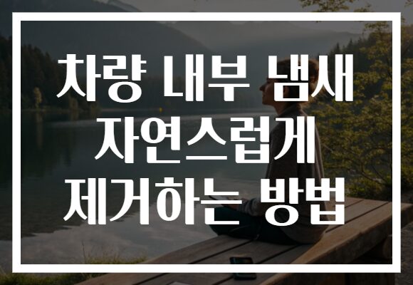 차량 내부 냄새 자연스럽게 제거하는 방법 차량 내부 냄새 자연스럽게 제거하는 방법