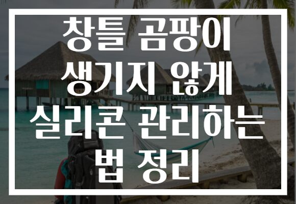 창틀 곰팡이 생기지 않게 실리콘 관리하는 법 정리