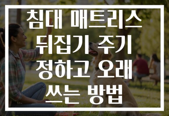 침대 매트리스 뒤집기 주기 정하고 오래 쓰는 방법