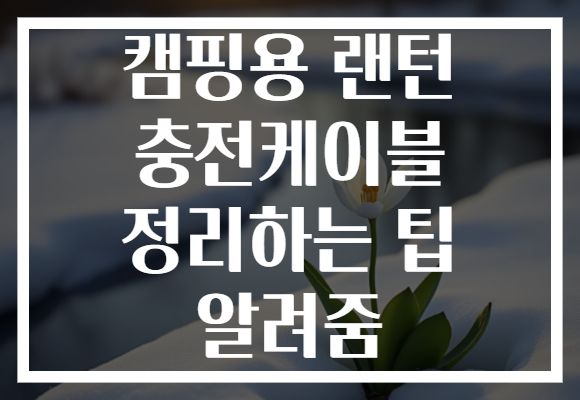 캠핑용 랜턴 충전케이블 정리하는 팁 알려줌