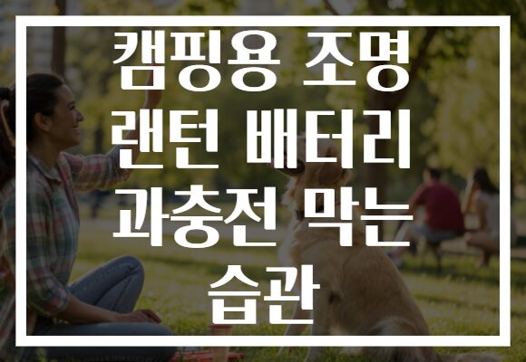 캠핑용 조명 랜턴 배터리 과충전 막는 습관 캠핑용 조명 랜턴 배터리 과충전 막는 습관