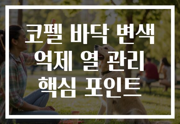 코펠 바닥 변색 억제 열 관리 핵심 포인트