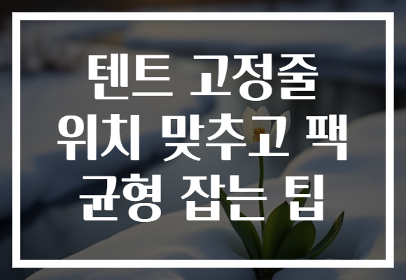 텐트 고정줄 위치 맞추고 팩 균형 잡는 팁 텐트 고정줄 위치 맞추고 팩 균형 잡는 팁