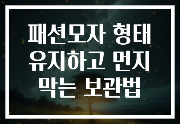 패션모자 형태 유지하고 먼지 막는 보관법 패션모자 형태 유지하고 먼지 막는 보관법