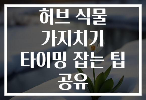 허브 식물 가지치기 타이밍 잡는 팁 공유 허브 식물 가지치기 타이밍 잡는 팁 공유