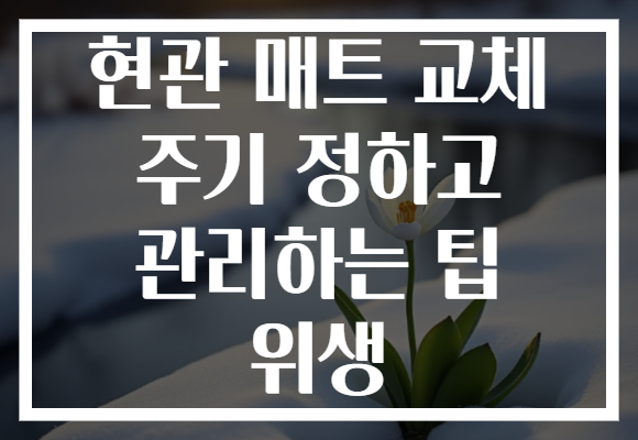 현관 매트 교체 주기 정하고 관리하는 팁 위생 현관 매트 교체 주기 정하고 관리하는 팁 위생
