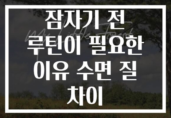 잠자기 전 루틴이 필요한 이유 수면 질 차이