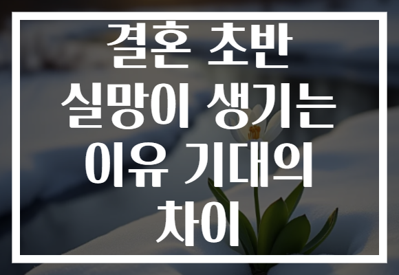 결혼 초반 실망이 생기는 이유 기대의 차이 결혼 초반 실망이 생기는 이유 기대의 차이