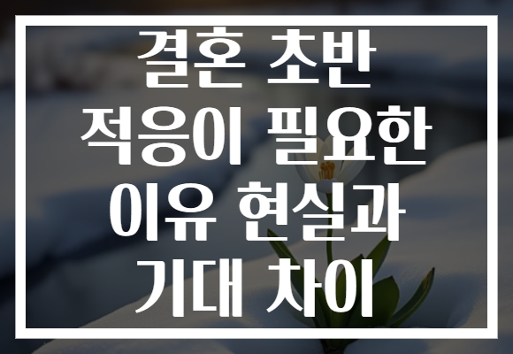결혼 초반 적응이 필요한 이유 현실과 기대 차이 결혼 초반 적응이 필요한 이유 현실과 기대 차이