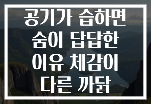 공기가 습하면 숨이 답답한 이유 체감이 다른 까닭